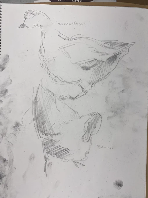 ネコ落書き 