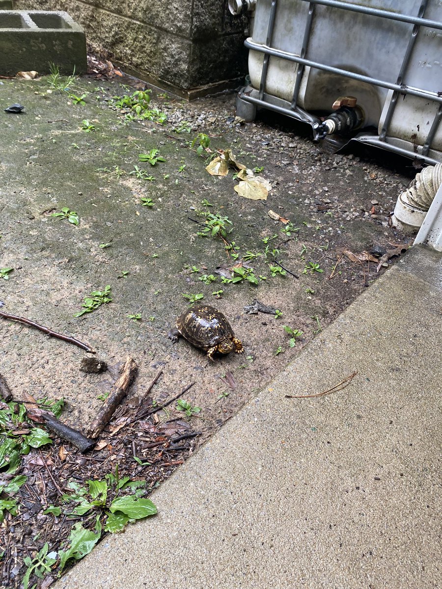 Isabel Marsh tweet media