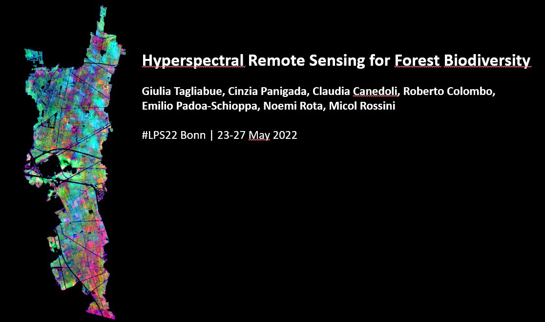 Giulia Tagliabue tweet media