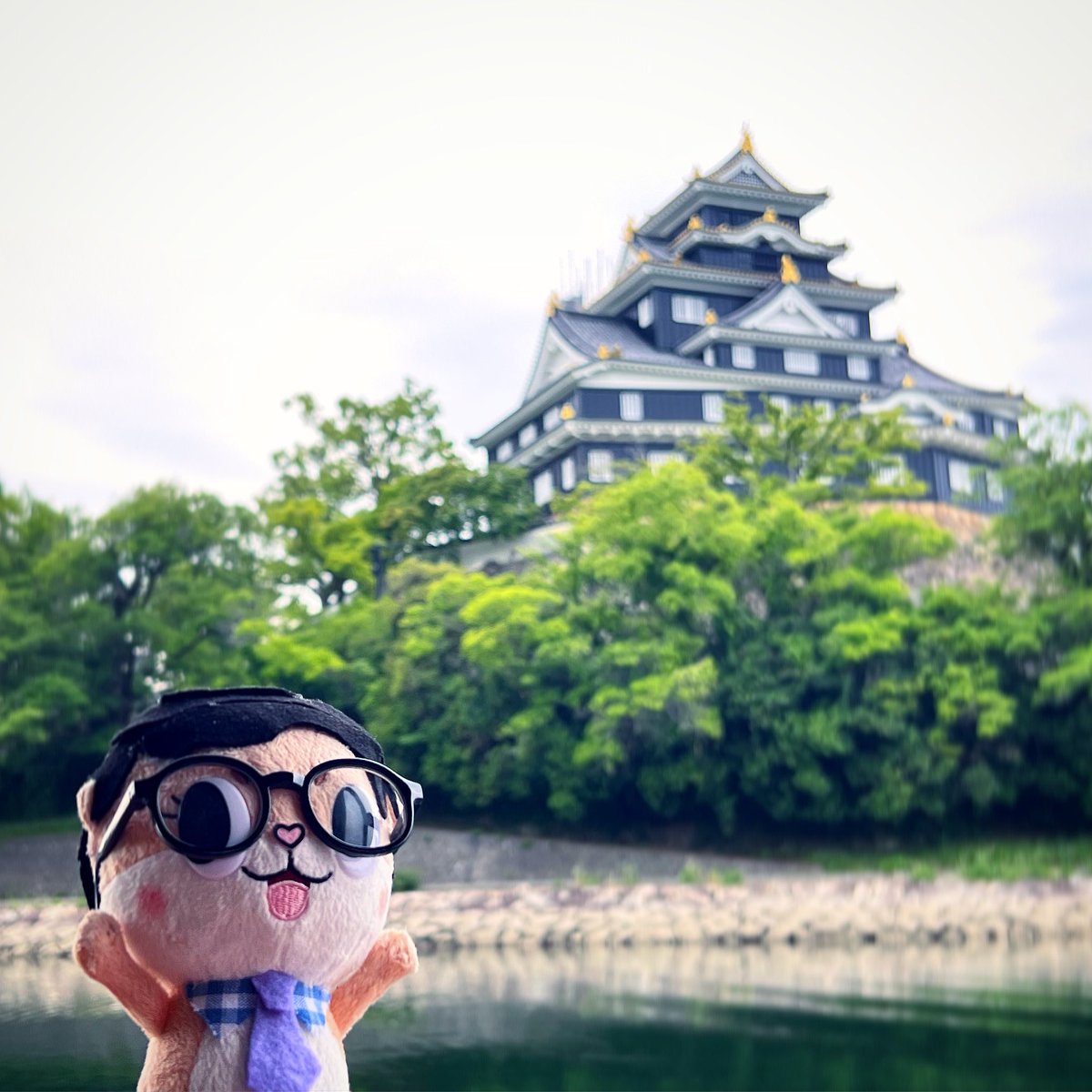 chiijohntravels's tweet photo. Last weekend, I got to visit Okayama city! The castle is so beautiful! Do you know what Okayama is famous for? 🍑#Chiijohn #LastWeekTonight #Japan https://t.co/fAVOdam4Jp