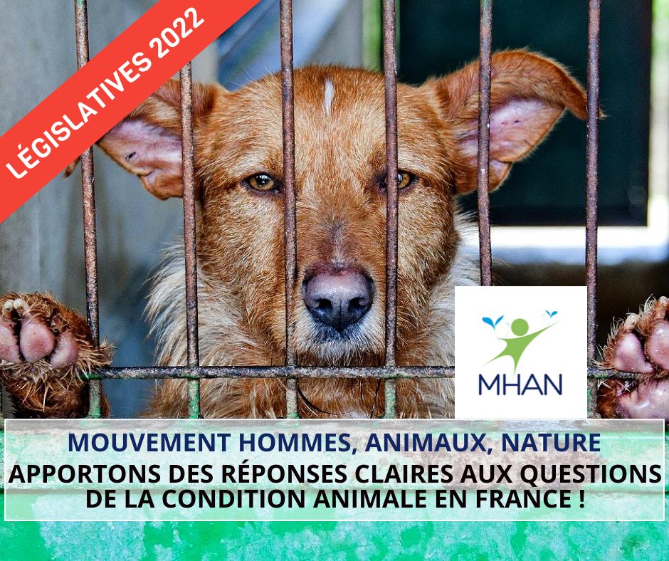 Universalistes1's tweet photo. 📢 [ #LEGISLATIVES2022 ] L'homme est intimement lié à la place qu'il donne à la #ConditionAnimale ! Voter pour les candidats du #MHAN aux #législatives c'est se battre pour la dignité et le respect de l’#animal et de la #nature !

🎯 VOTEZ POUR LE VIVANT » https://t.co/ha6k9xVzvQ https://t.co/PIgEGqUPmf