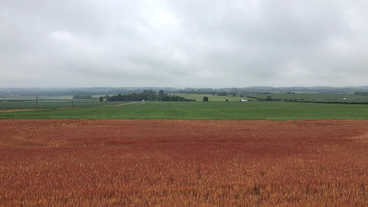QuintinLake's tweet image. Highbourne, Kent
#pilgrimsway #northdownsway