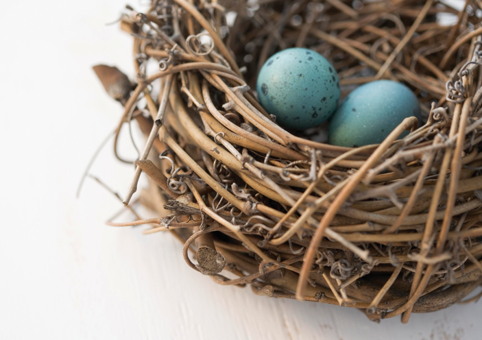 NatRevPhys's tweet photo. Research Highlight: Bird nest packing. A paper @PhysRevLett uses experiments and simulations to understand the mechanics of birds' nests

https://t.co/RzJBYdxWBr https://t.co/9KAgsJIeKL