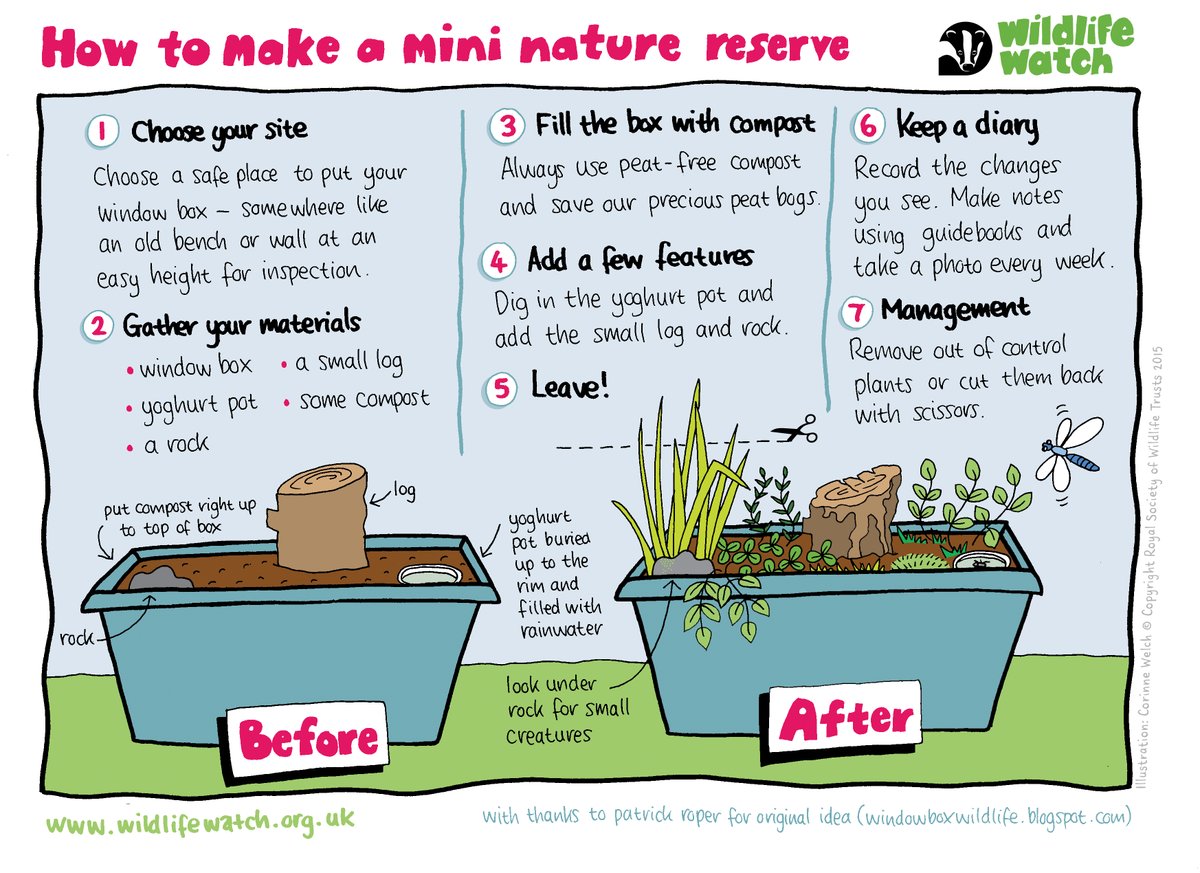 WildlifeTrusts's tweet photo. Make a mini nature reserve for wildlife! Follow our guide below and get your garden buzzing with minibeasts and other animals https://t.co/FzHS8vdohR https://t.co/BOgrXHPyN1