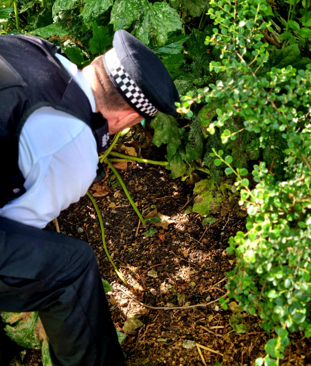 Hackney Police tweet media