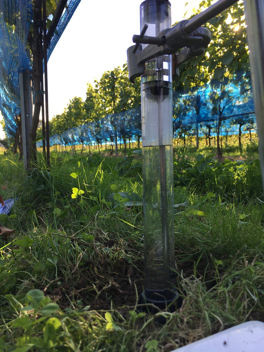 sesoil's tweet photo. Last chance to register for the next @Soil_Science SEESOIL meeting on Mon 6th Jun on 'Climate change and land use in the UK, and the growth of viticulture' @gusbourne @mparadelo Register by 24/05 (tomorrow) https://t.co/wpB6Z2sBQC https://t.co/LpQTyhVsXg