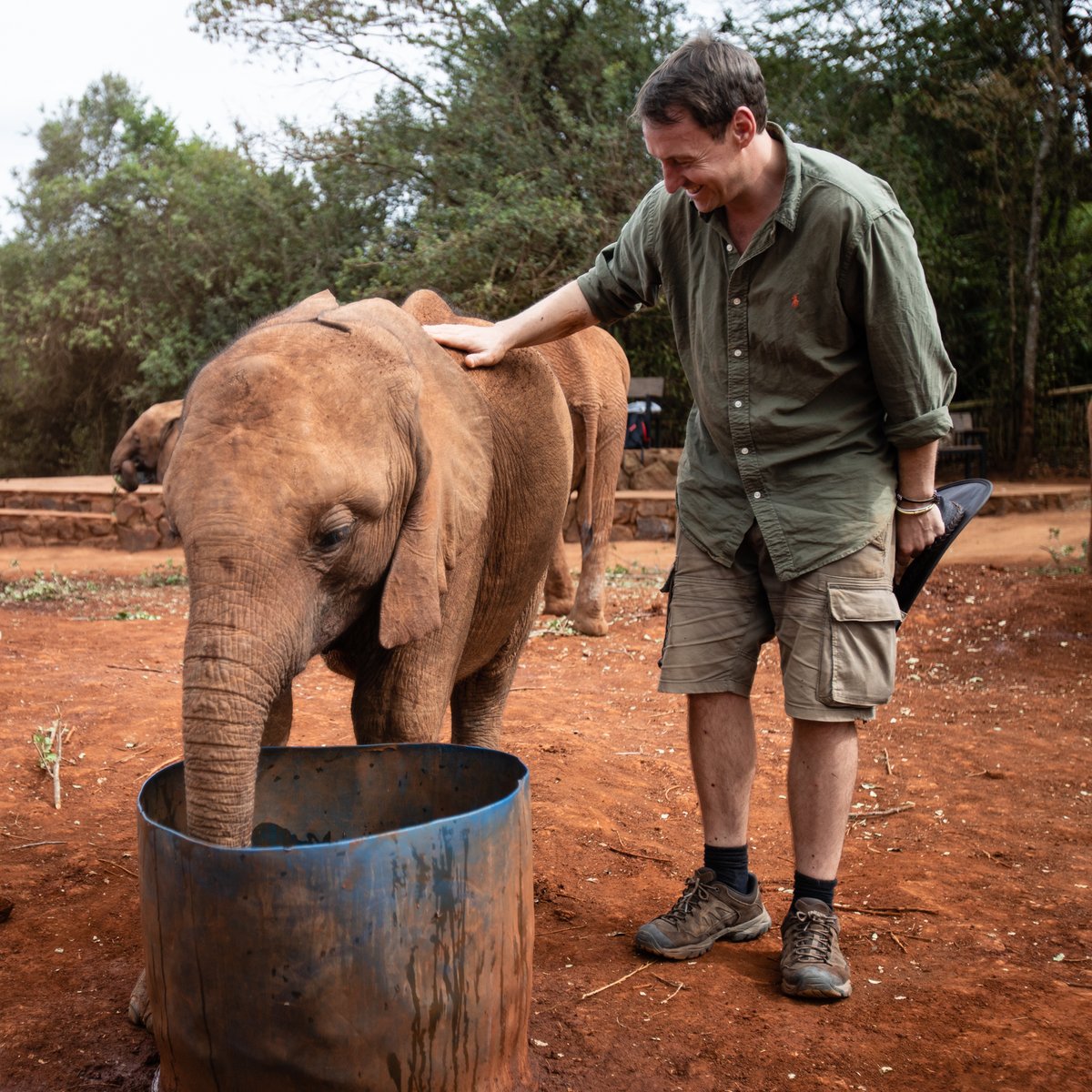 In The Wild tweet media