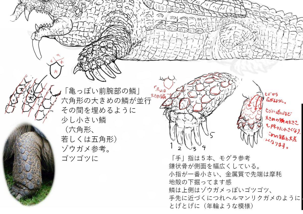 亀の日なので、亀を参考にした怪儡龍のメイキング小話をひとつ。(創作 