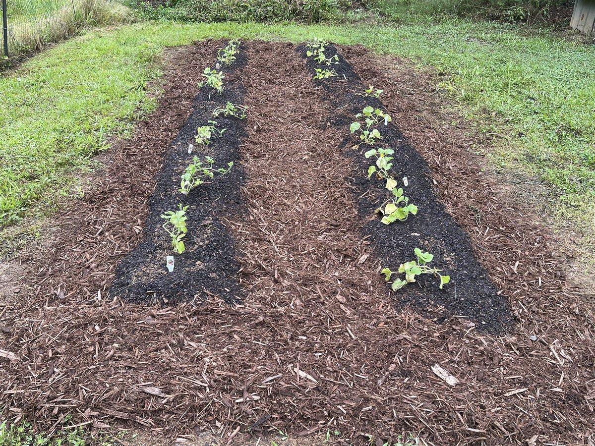 AldermanFarms's tweet photo. https://t.co/KxFuZWpw5I