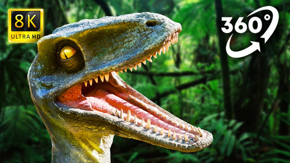 ViperaVR_360's tweet photo. Experience 8k resolution graphics and 360 degree views that will make you feel like you're right there in the middle of the action! 💪🦖🔥

✅ Link: https://t.co/AKAXUZJJiv✅

#dino #dinos #dinosaur #dinosaurs #vr #virtualreality #jungle #360view #360video #adventure #prehistoric https://t.co/h9g5sJtePB