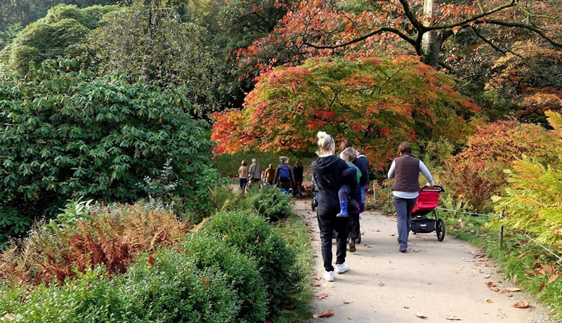 Wincanton Window tweet media