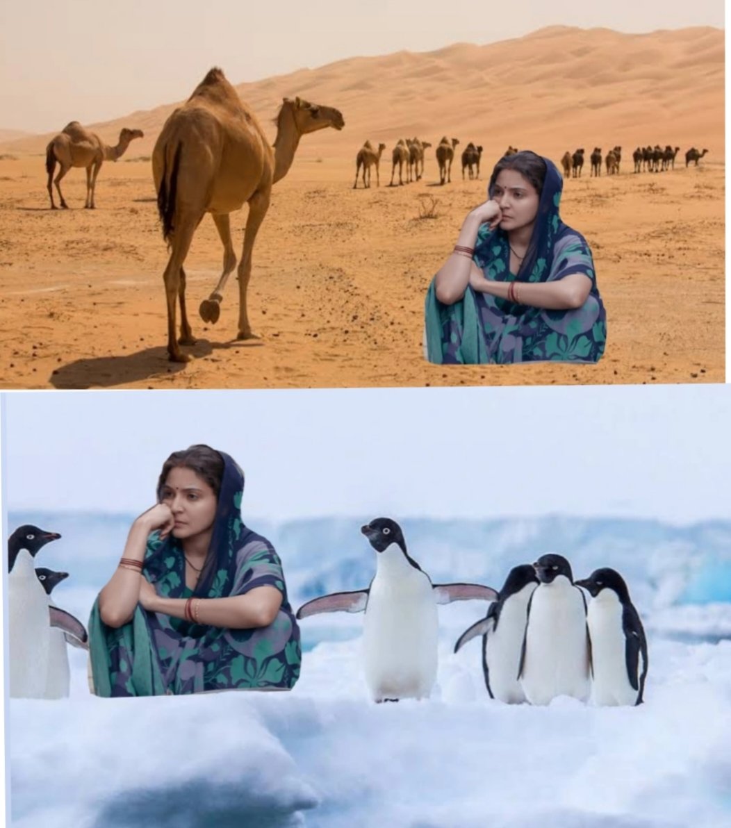 DubeyRiya2322's tweet photo. Yesterday I had to add cold water in tap water to bring it to room temperature. 
Today I added Hot water in tap water to bring it to room temperature.🙂
#SaveSoil #Savewater  #SoilMemes https://t.co/1smhTgC3jz https://t.co/VdQz96dRLw