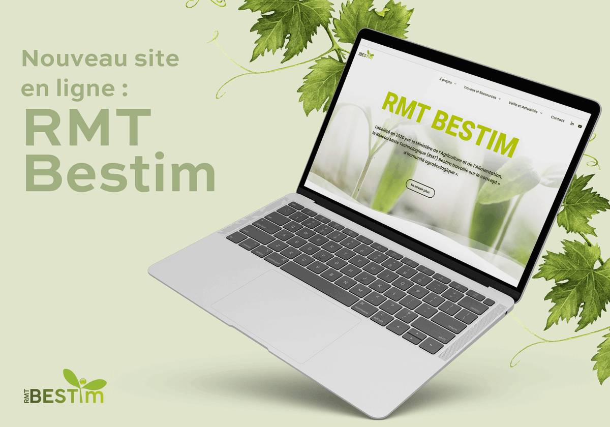 anaxi_numerique's tweet photo. Aperçu de notre dernière réalisation : le nouveau site du RMT Bestim !

https://t.co/meajv1ti6l
#communication #design #graphisme #web #wordpress #agencedecom #anaximandre #digital #siteweb #landerneau #communicationscientifique https://t.co/ouKUnskGer