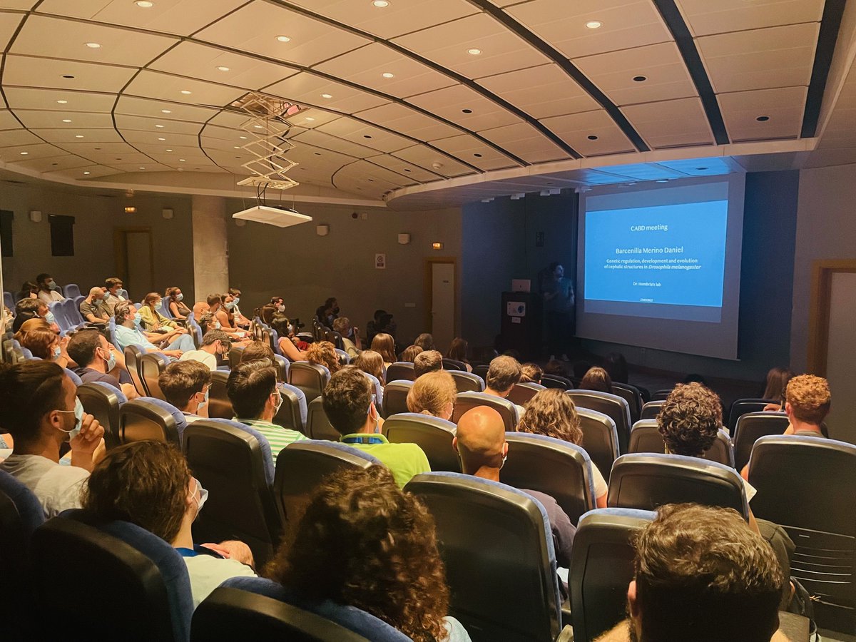 Today <a href="/sergiovc94/">Sergio Villa</a> from Alvarez-Talla and Jiménez’s lab and <a href="/DanielBamer/">Daniel BM</a> from Hombria's lab presented their PhD projects #cabdmeetings! Great discussion! Tjhe talks were moderated by <a href="/crisprscan/">Moreno-Mateos Lab</a>, our #cabdmeetings' organizer