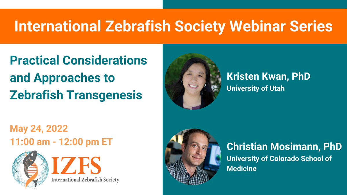 InfoIzfs's tweet image. Tomorrow: Join Drs. Drs. Christian Mosimann and Kristen Kwan for the Transgenesis Webinar! This webinar will air at 11 am EDT. Learn more and register at: izfs.org/education/webi…… #IZFSWebinar2022 #Zebrafish #transgenesis