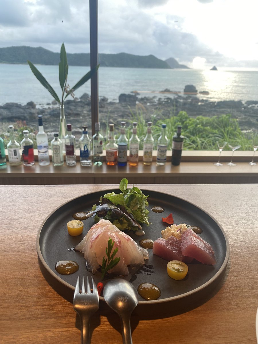 23skh's tweet photo. 奄美大島1日目はずっと行きたかった伝泊に宿泊。目の前に広が���海がさいこう〜〜〜 https://t.co/NfXvsBQP9R
