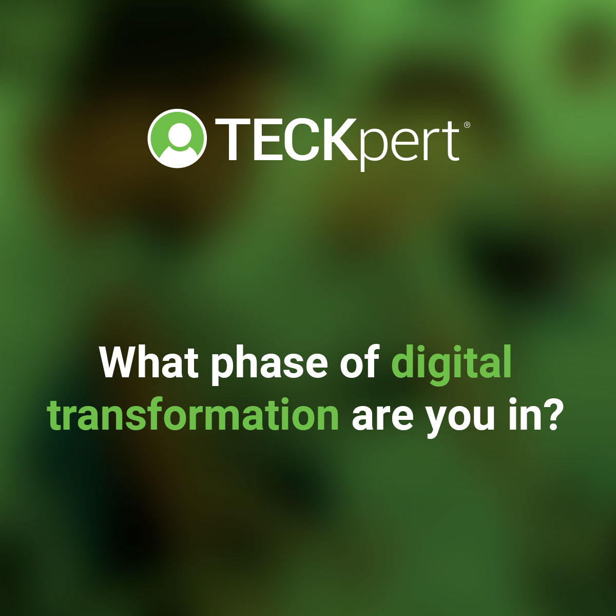 TECKpert's tweet photo. For more info on tackling a #digitaltransformation from #IT #bestpractices to #digitalmarketing to #softwaredevelopment &amp; #integratingsystems - Go to https://t.co/VGq5Lcq4a2 and request your free copy of our Digital Transformation white paper.

#techconsulting #staffaugmentation https://t.co/36Y2ud1ecQ