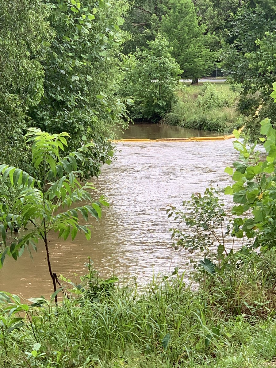 okamoto_sandra's tweet image. Good morning from Cooper Creek Park. The rain we got overnight replenished the wetland area and filled the creek. Badly needed is forecast all week. Thank goodness! #ColumbusGA #mydailyphoto #05/23/2022 #completelycloudy #cooler #humid #breezy