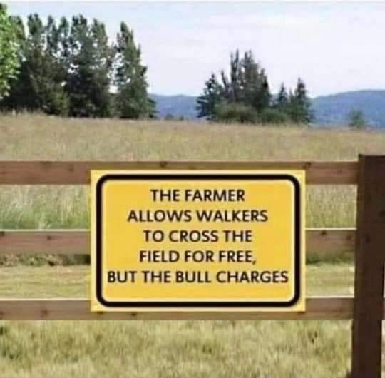 Made me chuckle 😂