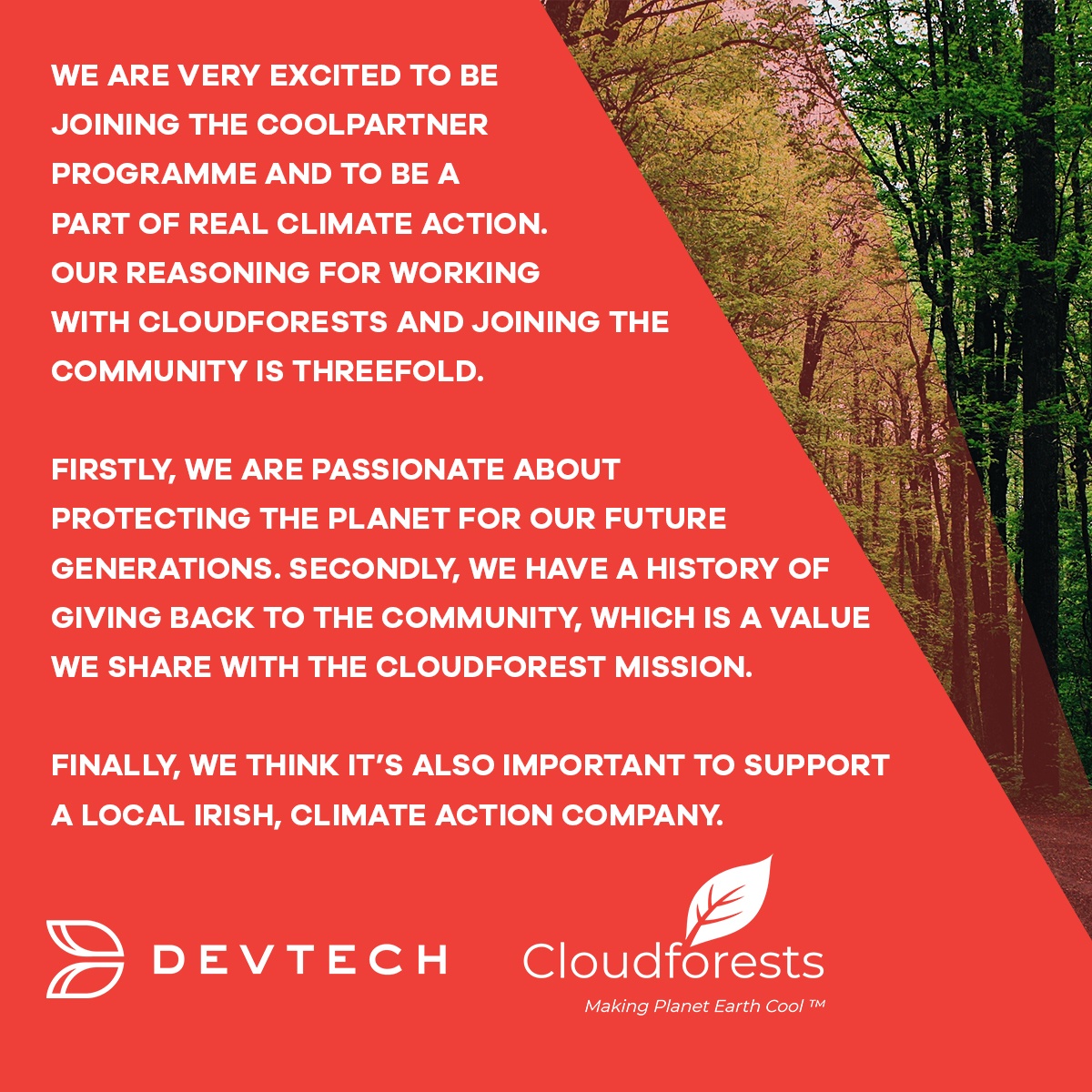 Devtech_Total's tweet photo. We are very excited to be joining the Cloud Forests CoolPartner programme and to be a part of real climate action.
#coolpartner #cloudforests #climateaction
https://t.co/oPo7zAW33Z https://t.co/ezllw2w5Vd