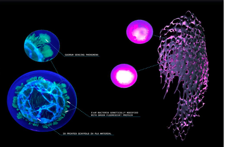 Naturevolve's tweet photo. Here, we present stunning visualization of environmental #Toxins 🦠
Data visualization via augmented reality can be an effective way of triggering interest in #science.

📗 Read more in NatureVolve issue 2: https://t.co/CjBsAW3EaY

(Image copyright: Augmented Architectures) https://t.co/AXLUJbYo6T