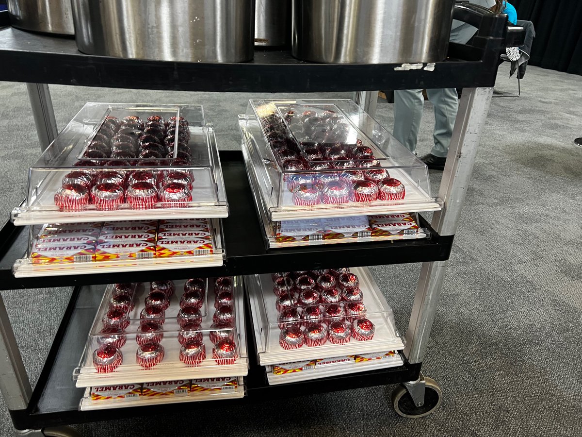 gordonrhay_md's tweet photo. You know you’re at a conference in @glasgow @SECGlasgow when they wheel out a trolley of Tunnocks Tea cakes….@RCOphth https://t.co/TKEgMru2bC