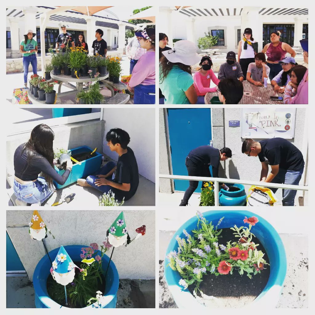 mechsscientist's tweet photo. In a partnership with Insights, @MechsEnviClub and @snhsmechs members spent time Saturday planting desert specific plants on the @missionechs campus. #TeamSISD #PhoenixFamily #PhoenixGoTheDistance https://t.co/xHmDAhUGy4