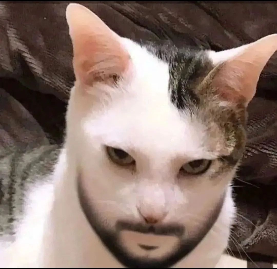 eon (@eonity) on Twitter photo 