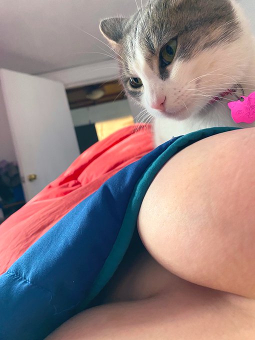 Haru en mi teta por la ma&ntilde;ana 😅☺️ https://t.co/QhN2KgUUXV<a href="/tag/facereveal"class="tags"><span>#facereveal</span></a><a href="/tag/vtuberes"class="tags"><span>#vtuberes</span></a><a href="/tag/todosconnimu"class="tags"><span>#todosconnimu</span></a>