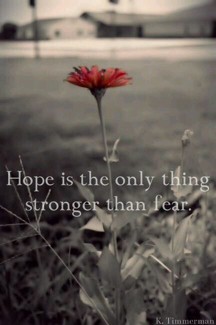 Vikas B (@vb00009) on Twitter photo 