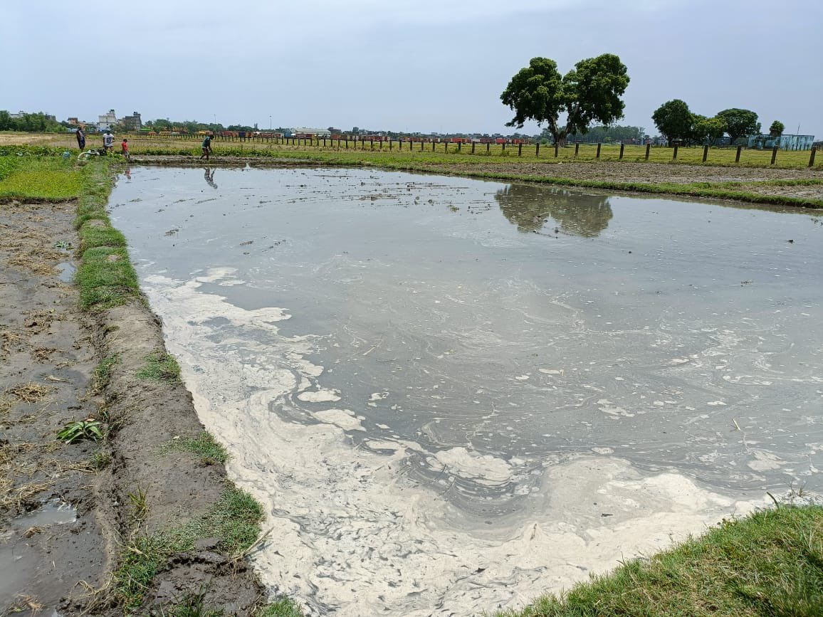 ChrisAndermann's tweet photo. Surface water sampling #HelloMonsoon started in the gangetic planes, #Nepal to Patna @GeologyDeptPU, great job Bijay! @GFZ_Potsdam @paleohydrology @basanta58_raj https://t.co/vojJiiz8Ll
