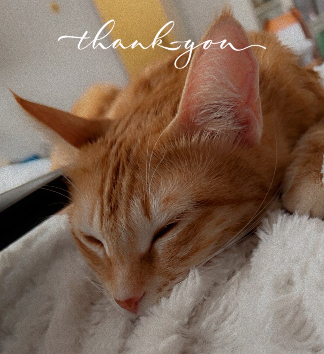 Feels wrong coming home without Alani 💔