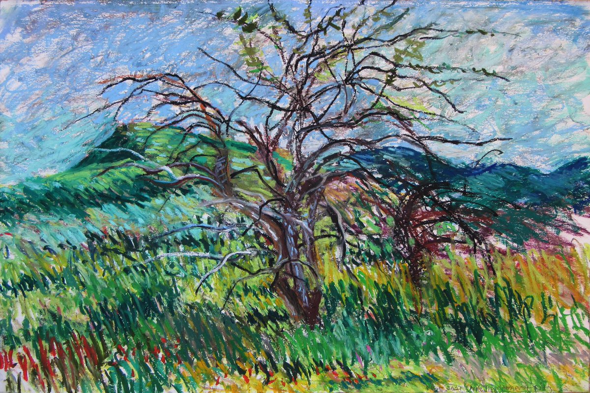 EkdGallery's tweet photo. Lorna Ritz 
“Mt. Norwottuck and Apple Tree” Holyoke 🏔 Range, Amherst 
Holbein crayon on 300lb hot press paper, 15 x 22 inches 
2021 

🖼 ”New Vistas”: 
an online art exhibition 
through June 21
https://t.co/CzUMKoIz4w

#art #artgallery #contemporaryart #drawing #abstract https://t.co/cedoccXONs
