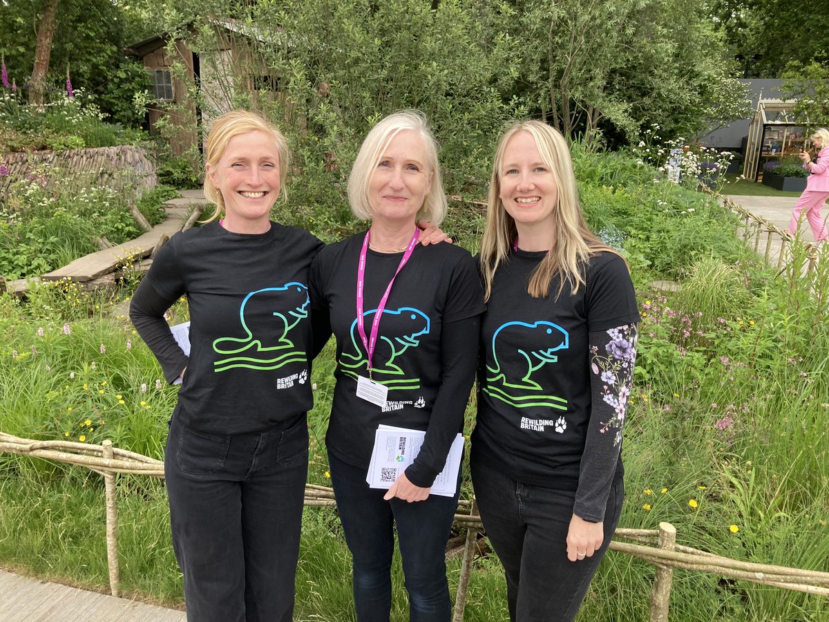 So great to have the team down at the Rewilding Britain garden at #RHSChelsea today! So much interest in beavers and their amazing ecosystem engineer, biodiversity boosting superpowers!! 🦫 🦫