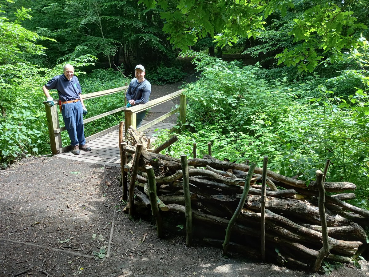 TCVHaringey's tweet photo. Peaceful day last Thursday in #ColdfallWood deadhedging to prevent access to a very steep drop into the #stream. We found a lovely large #larva in some rotting wood & quickly covered it over to continue its good work #NutrientRecycling. 🪲🌳🍂🪵 #Haringey cs https://t.co/XreHwWycPj