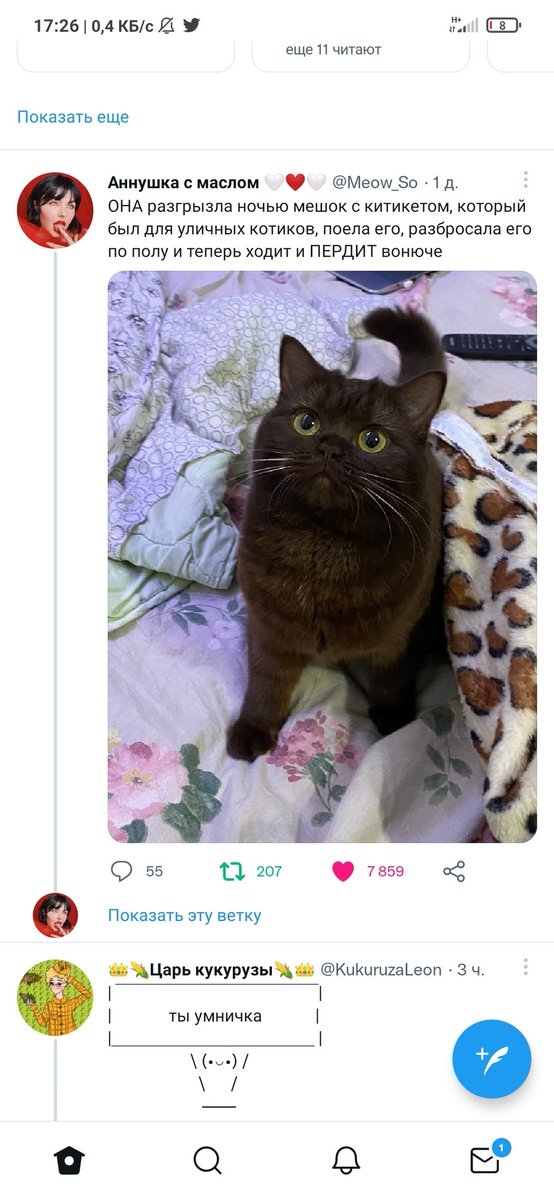 idiot_inc_'s tweet photo. @Meow_So https://t.co/c0itcGSnkN