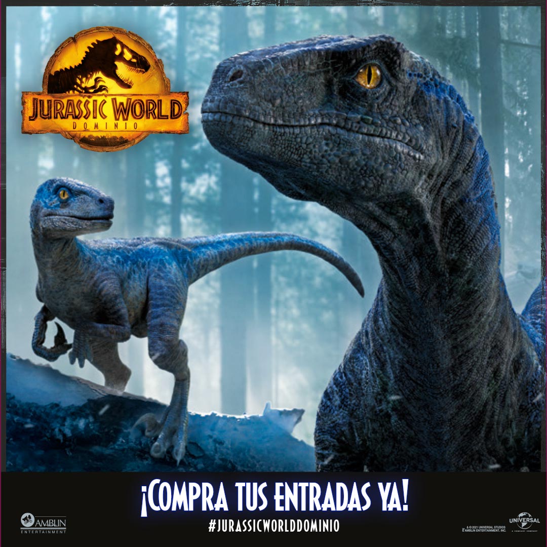 CinexVe's tweet image. ¡La preventa jurásica ha comenzado! 

Un final épico está a punto de llegar y no te lo puedes perder. 🥹

Busca tus entradas por cinex.com.ve 

#JurassicWorldDominion #JurassicWorld