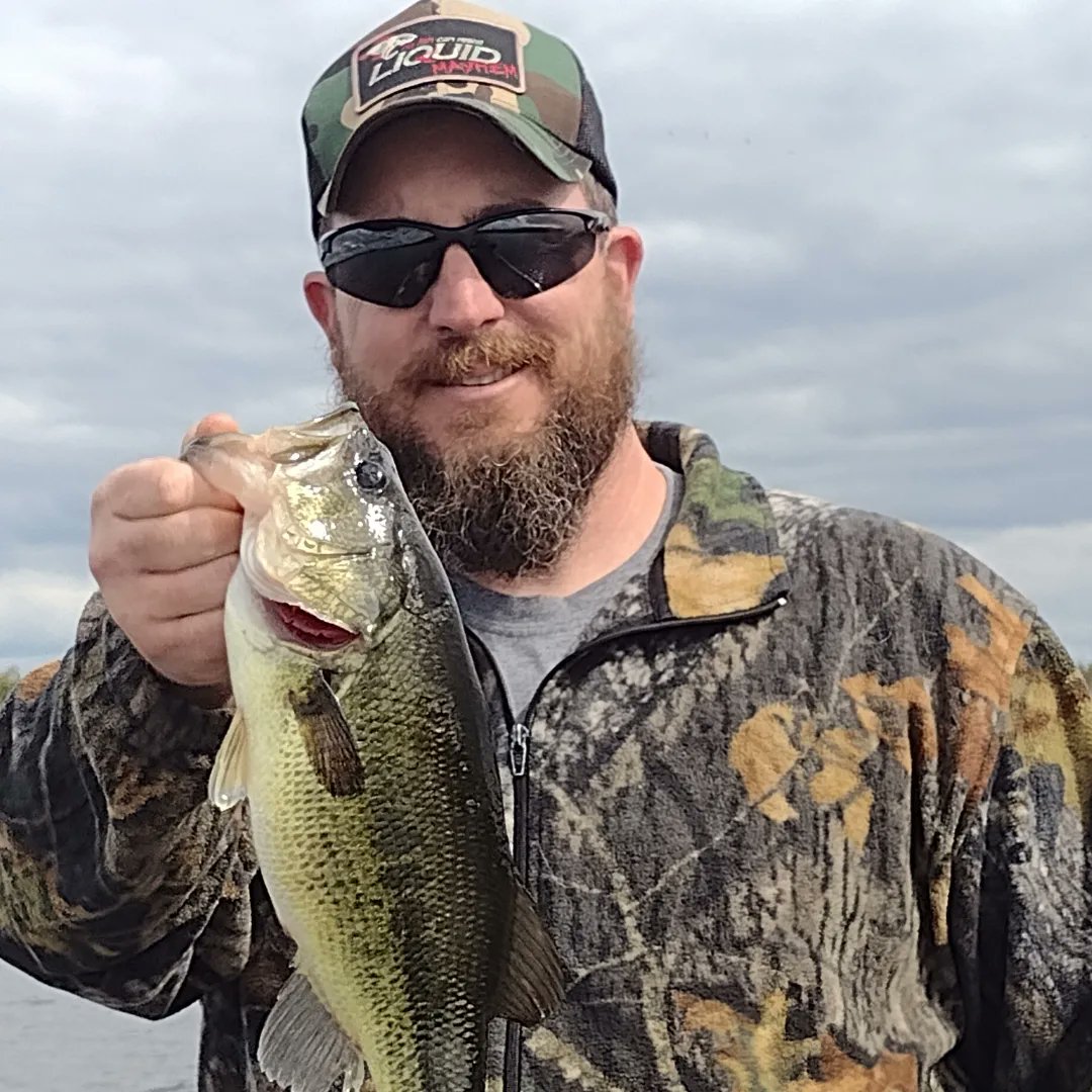 jgbassin's tweet image. Got into a few yesterday with @fishwdad . We didn't catch a lot of fish but we had a great time.

#Largemouthbass #bassfishing #Wisconsin #liquidmayhem