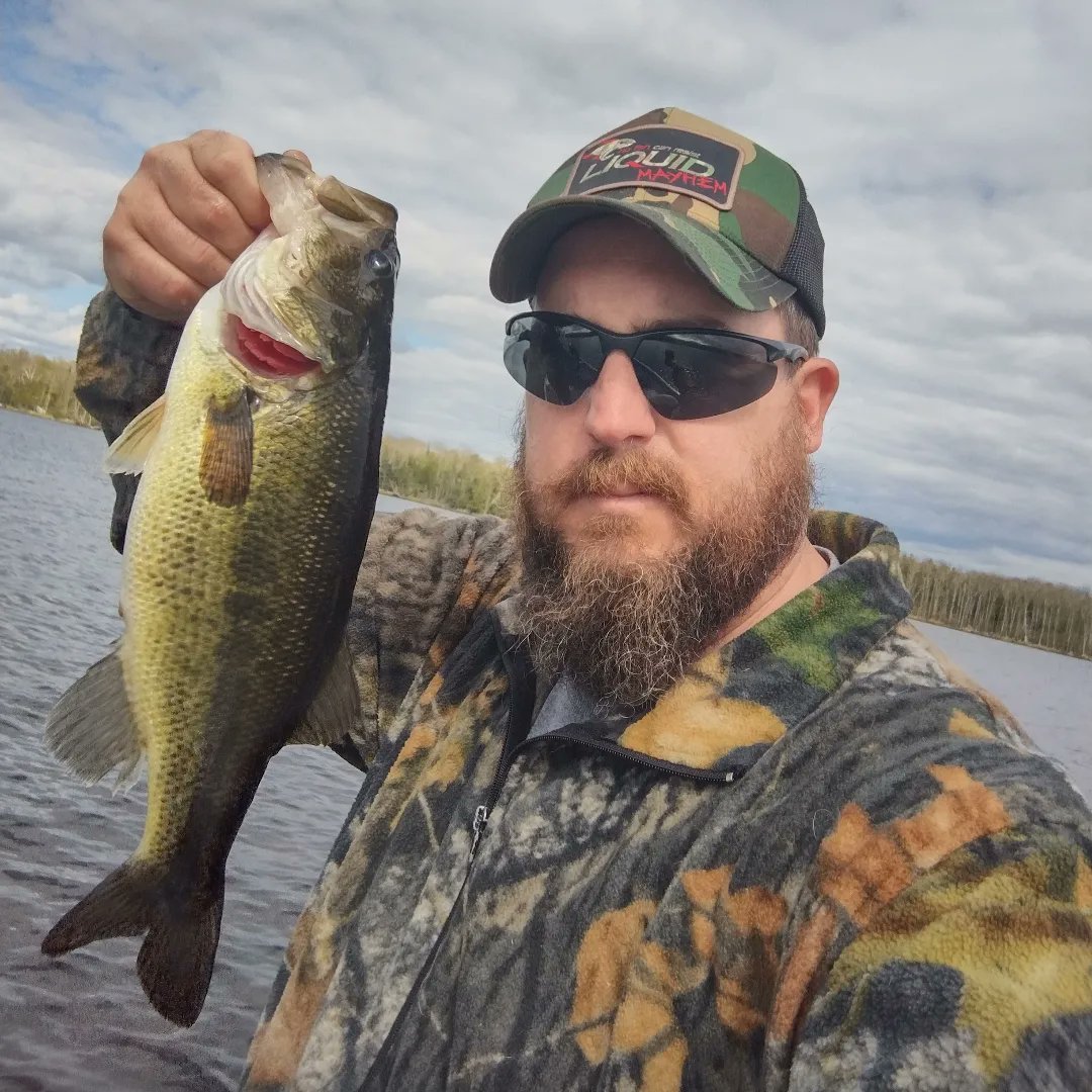 jgbassin's tweet image. Got into a few yesterday with @fishwdad . We didn't catch a lot of fish but we had a great time.

#Largemouthbass #bassfishing #Wisconsin #liquidmayhem