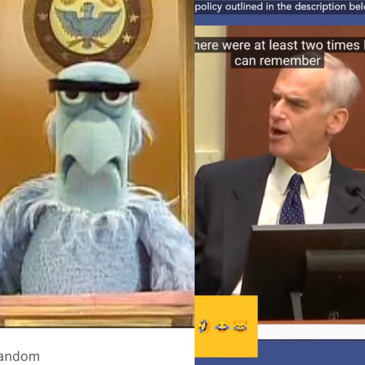 _amieec's tweet photo. Anyone else see the resemblance?  I can’t look past it!  #DeppHeardTrial #deppvsheardtrial https://t.co/Ed9tozzSPT