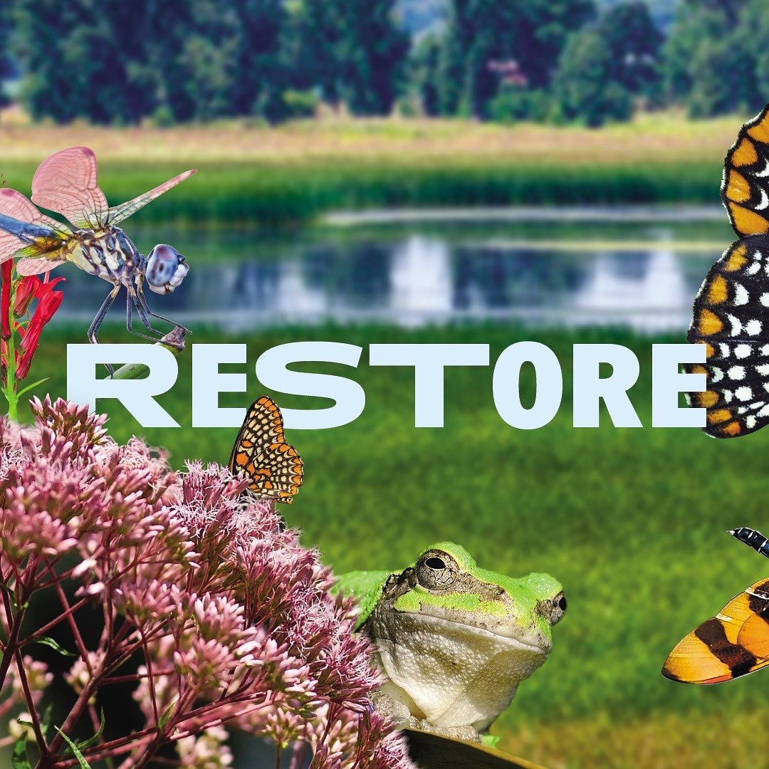 CurmudgeonGroup's tweet photo. We're not mucking around #creative #production #environmentalad #advertising @WetlandsTWI 

https://t.co/iaYCOjwKNY https://t.co/Kzj6P2v4O8