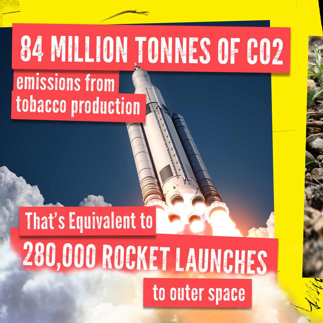 Earth_Medic's tweet photo. May 31 is World No Tobacco Day!  The harmful impact of the tobacco industry on the environment is vast and growing adding unnecessary pressure to our planet’s already scarce resources and fragile ecosystems.
#EarthMedic #WorldNoTobaccoDay #ClimateChange https://t.co/A85insEY03