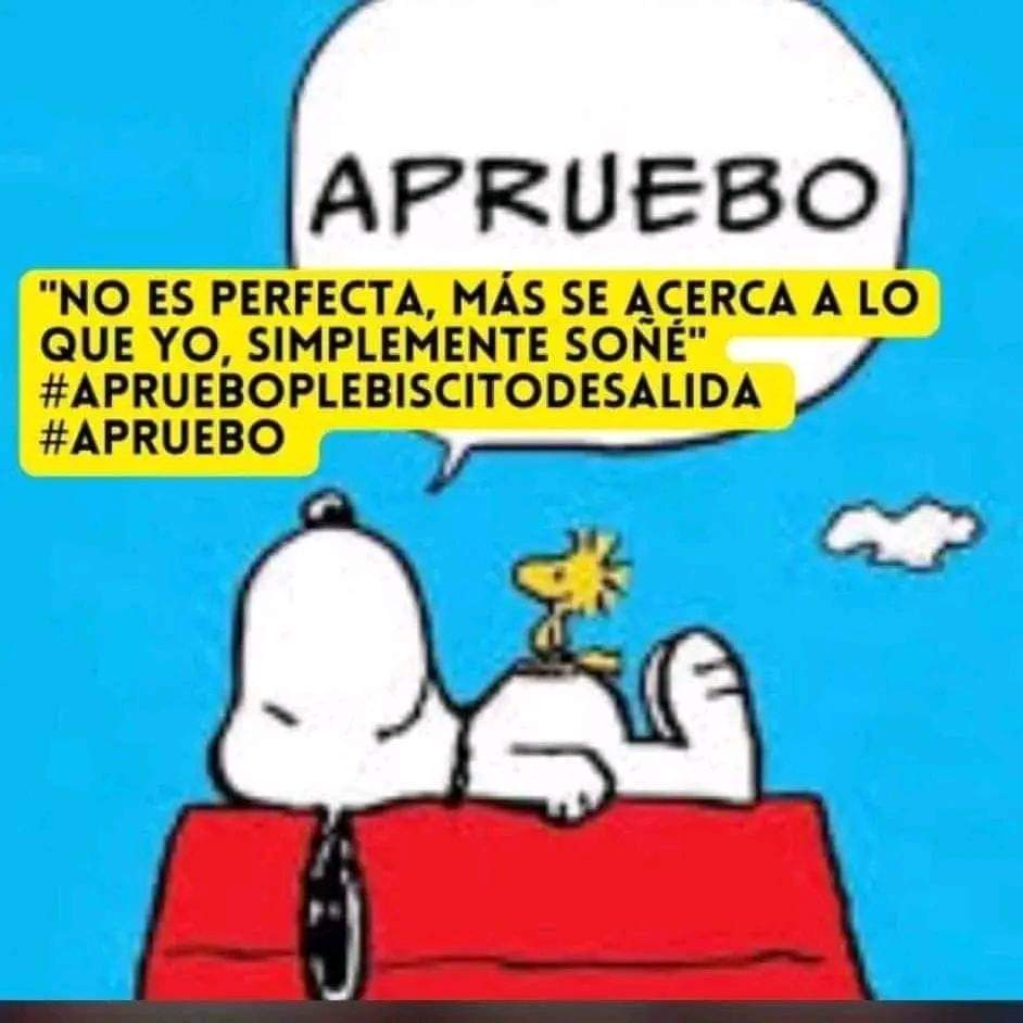dtel123's tweet photo. #AprueboPlebicitoDeSalida https://t.co/xuhA2luXqz