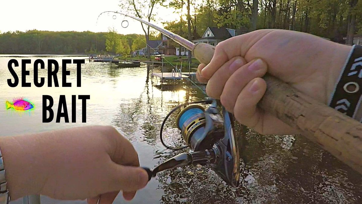 ThePerchJerker's tweet photo. This secret bait catches everything in this lake 🐠 FULL VIDEO: https://t.co/57VBVn4vc6 https://t.co/u1GhGfzydB