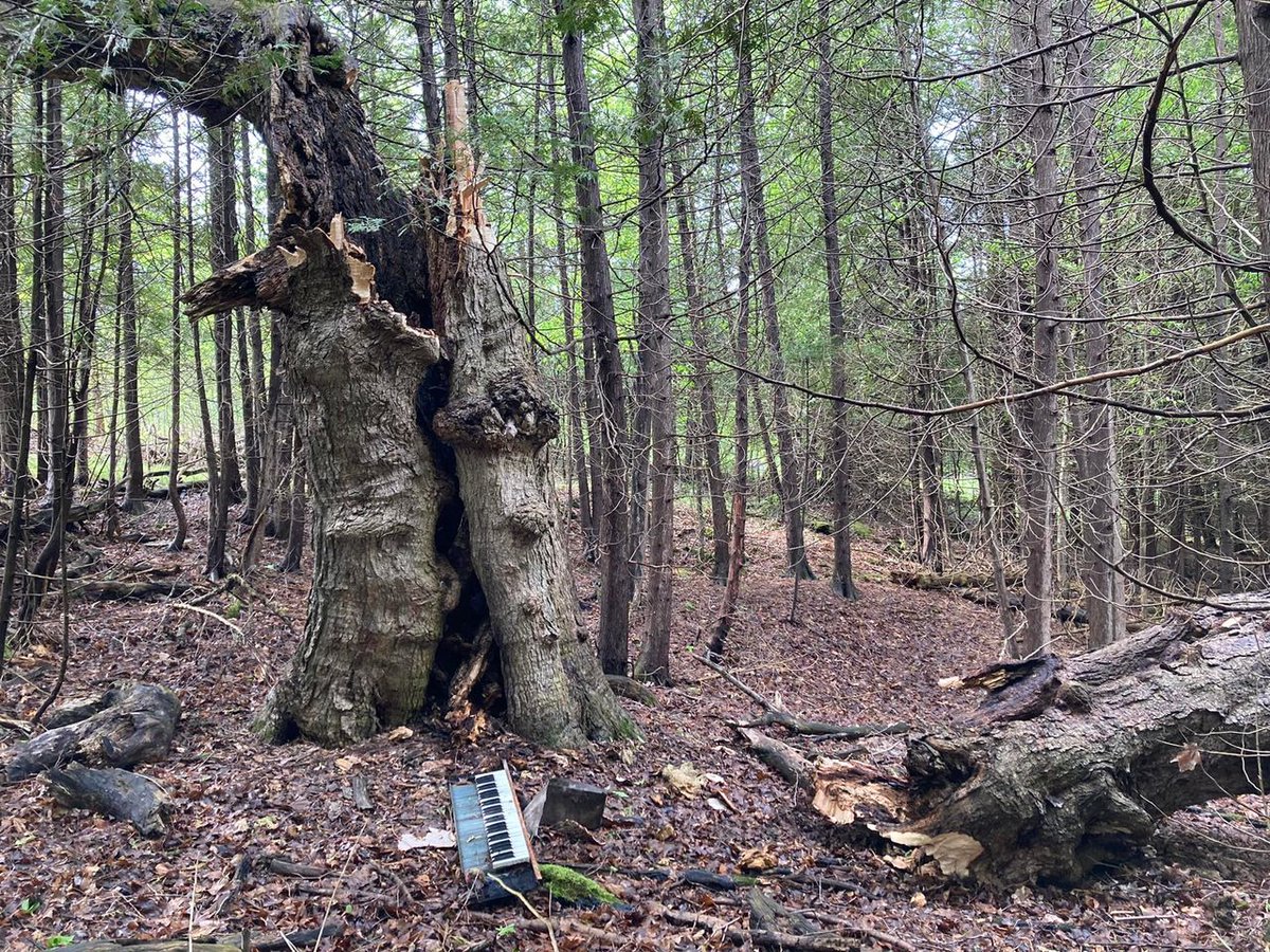 Phantom Woes tweet media