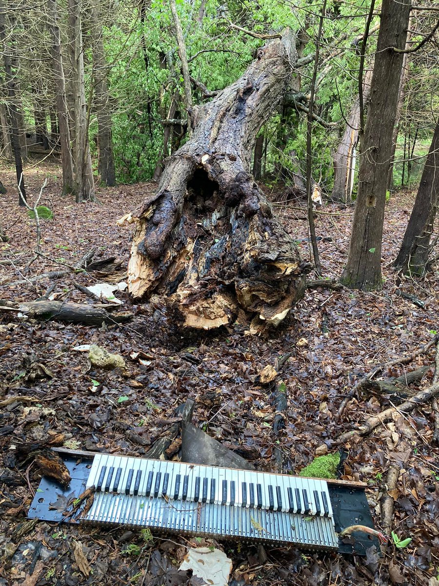 Phantom Woes tweet media