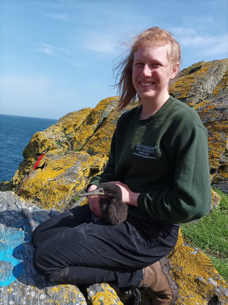 CalfObs's tweet photo. We had to say a fond farewell to @Phoebe_grz today - its been fantastic having you volunteer here @CalfObs carrying out the BBS survey and Wheatear mapping - not to mention finding over 60 (!!!!) Eider nests. We will all miss you, but hopefully see you again next season. https://t.co/96uejufgW0