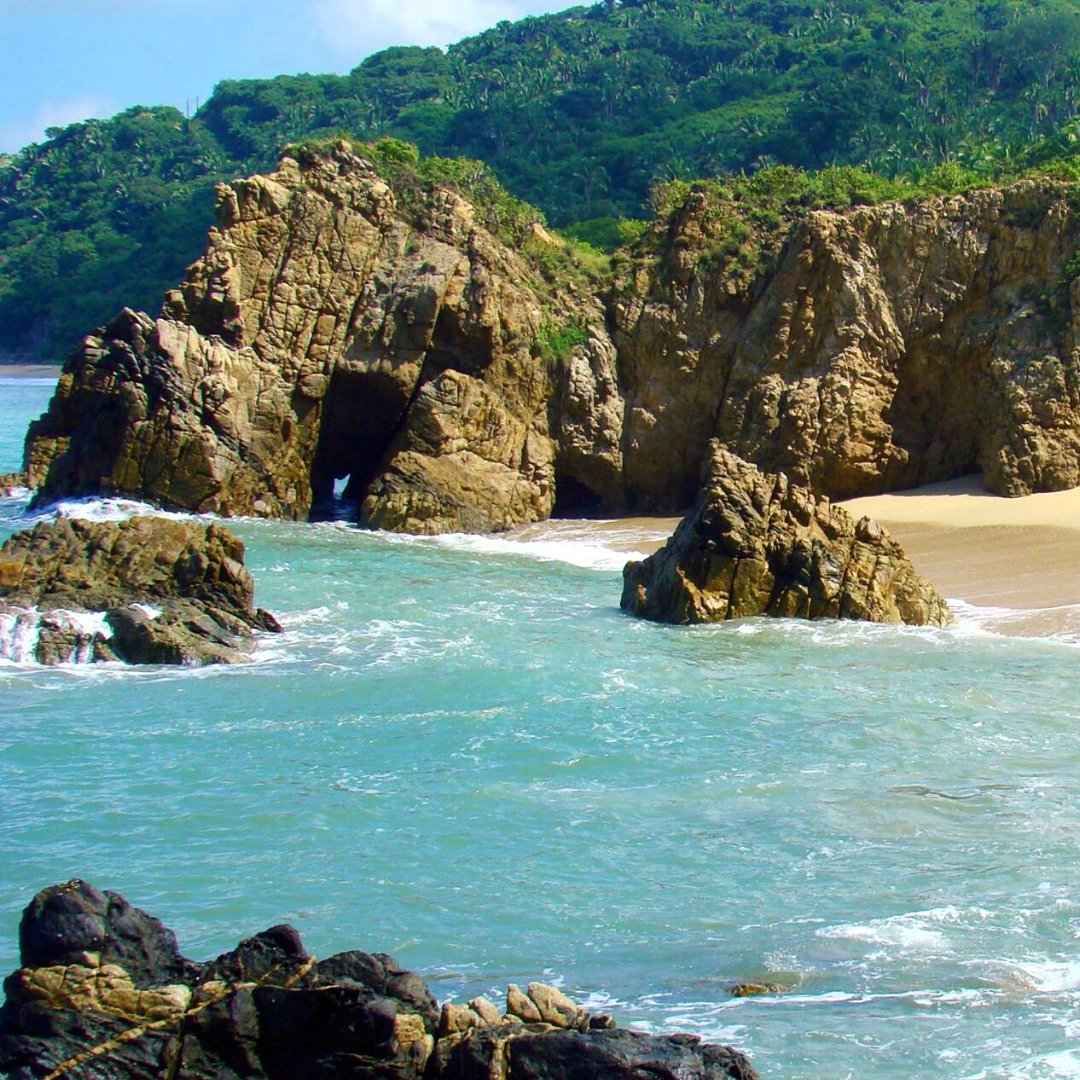 Joyas escondidas en la costa de Riviera Nayarit. 
📍 Playa Las Cuevas, Sayulita

#rivieranayarit #nayarit #mexico #nayaritdespiertaloenti #visitimexico #beachday #beachvibes #summer