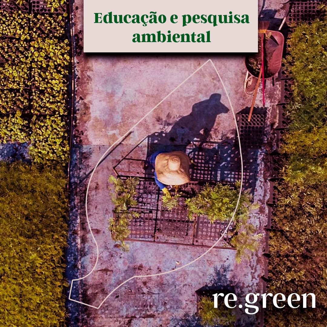 Re Green tweet media