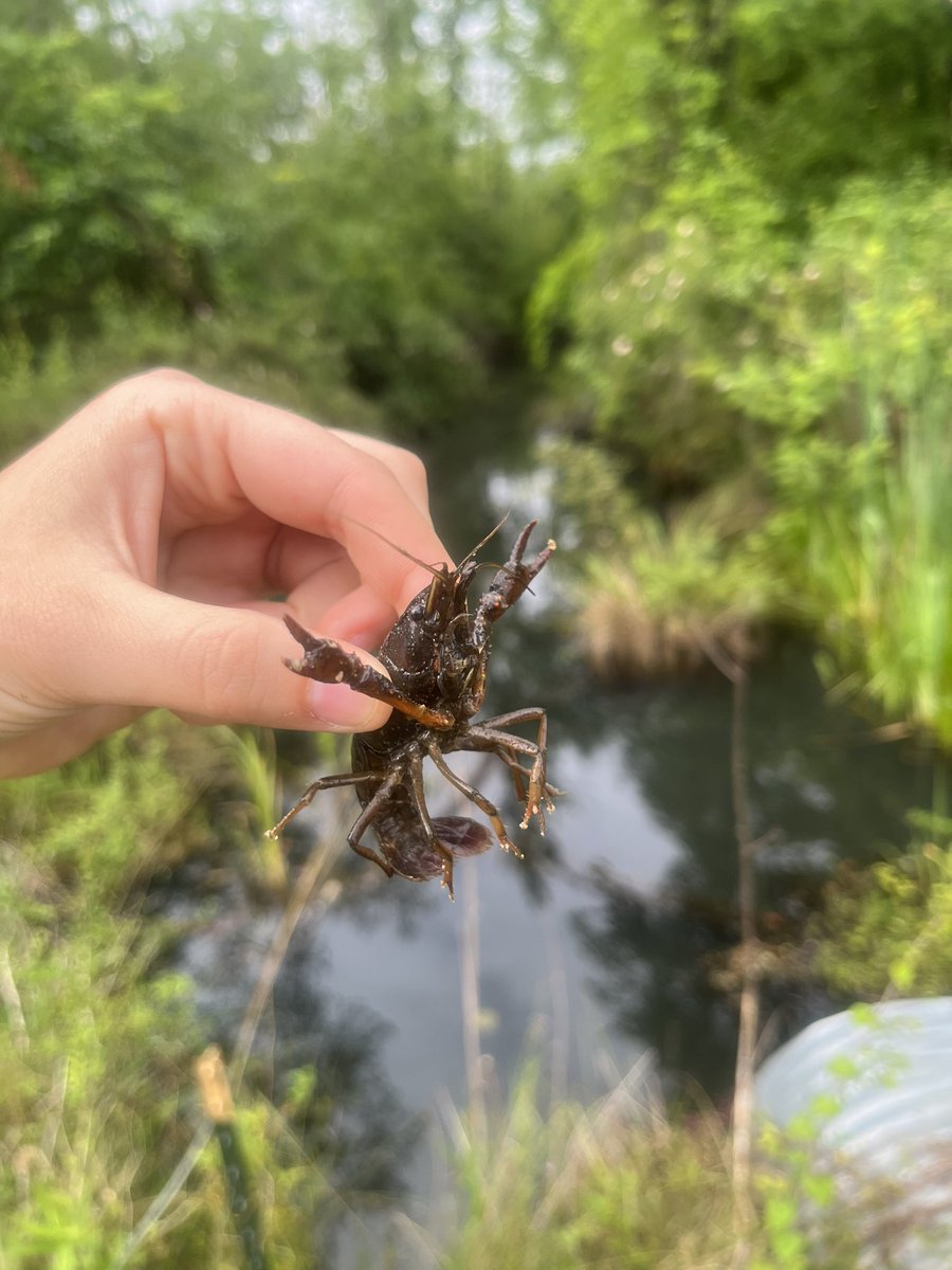 Caitlin Sweeney tweet media